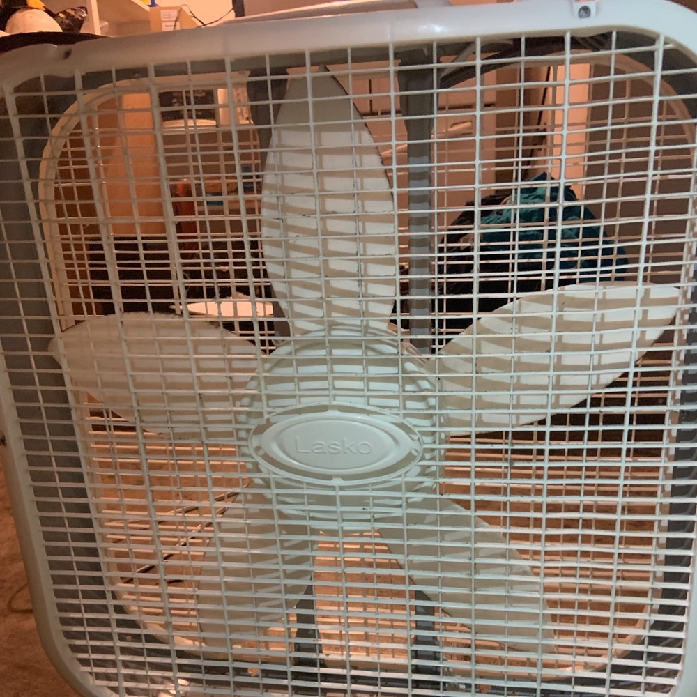 Lasko Fan